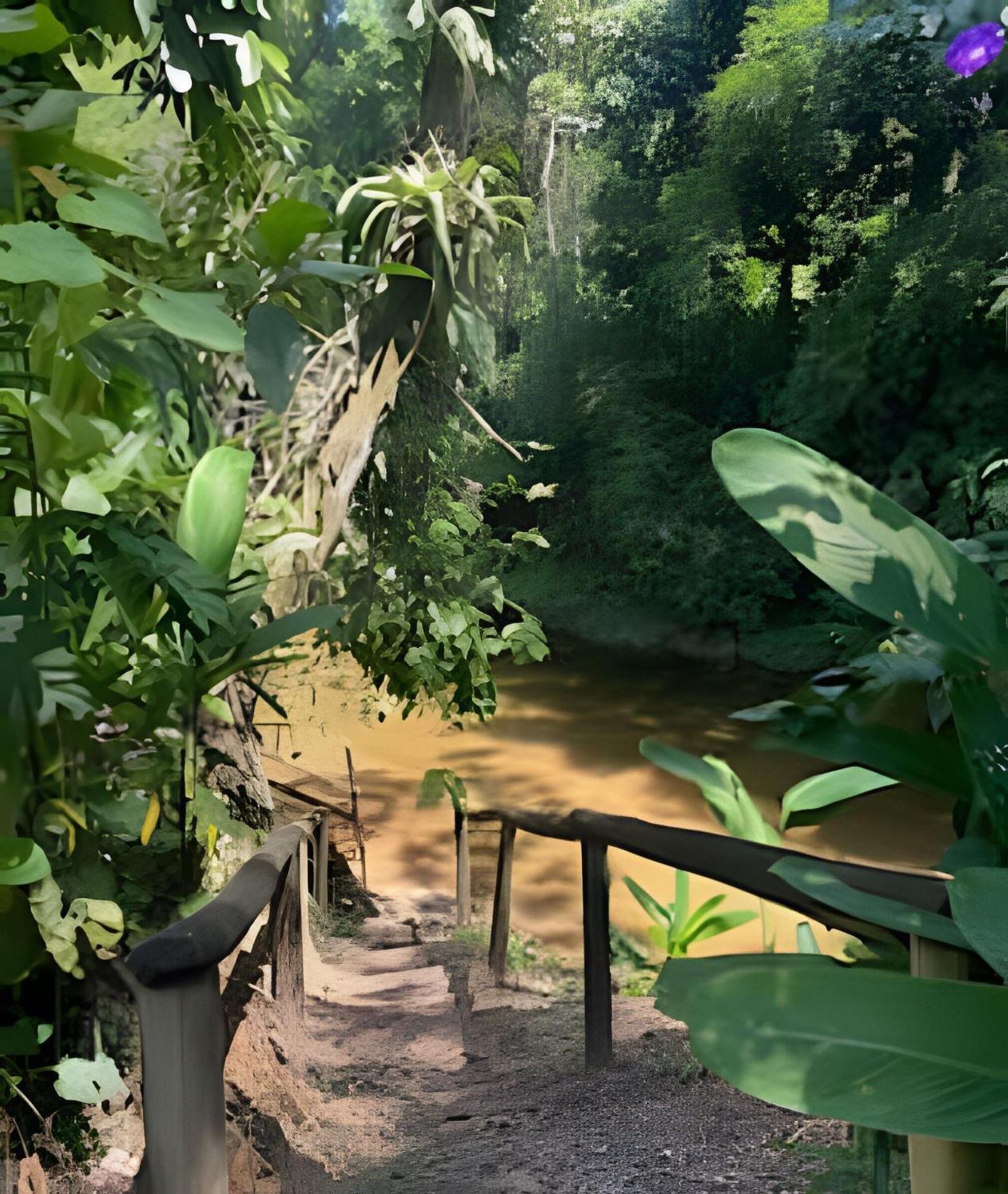 Refugio Natural Em Paraty Exterior photo
